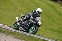 anglesey;brands-hatch;cadwell-park;croft;donington-park;enduro-digital-images;event-digital-images;eventdigitalimages;mallory;no-limits;oulton-park;peter-wileman-photography;racing-digital-images;silverstone;snetterton;trackday-digital-images;trackday-photos;vmcc-banbury-run;welsh-2-day-enduro